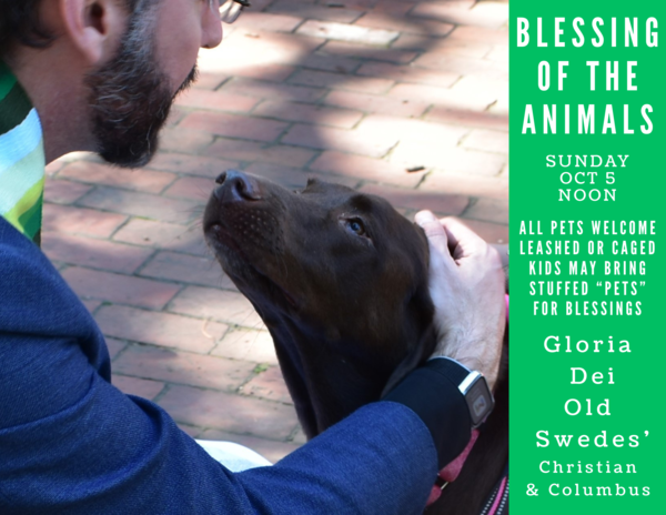 Blessing of the Animals