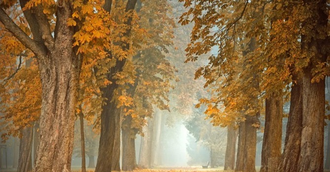 October 1, 2025 Devotion image