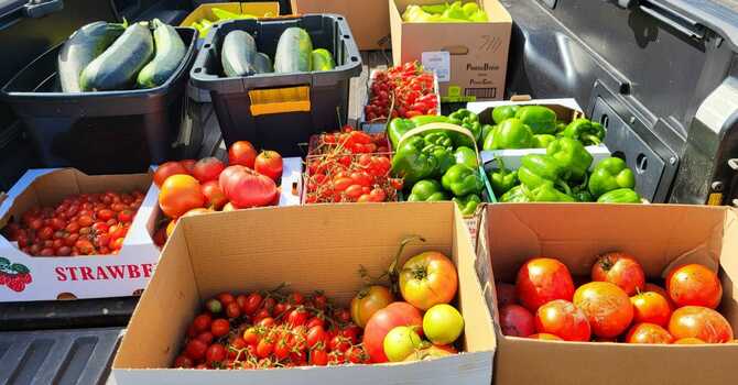 Caring for God's Lambs