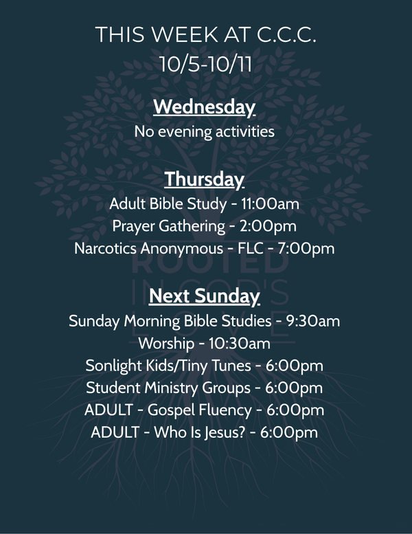 This Week's Schedule