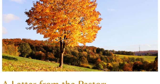October 2025: Devotional from Pastor Tim image