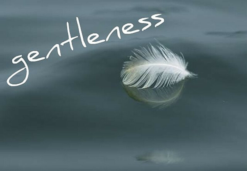 Gentleness