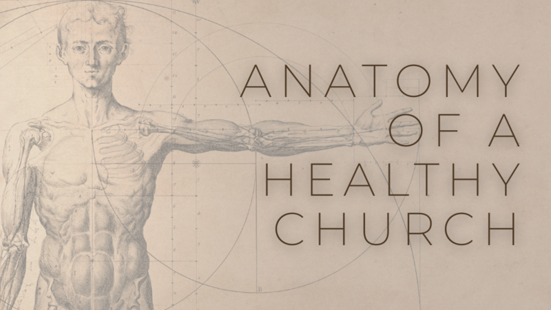 "Anatomy of a Healthy Church"