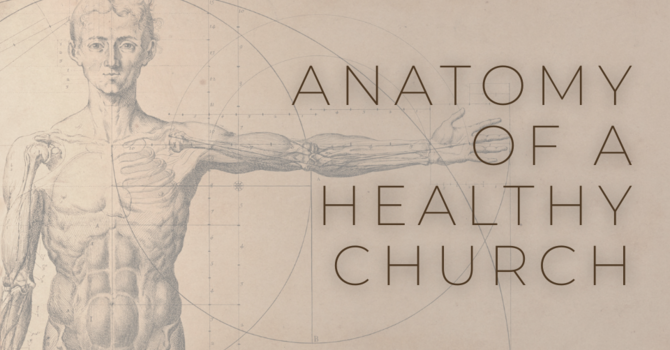 "Anatomy of a Healthy Church"