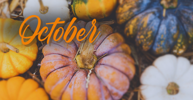 October 2025 Newsletter image