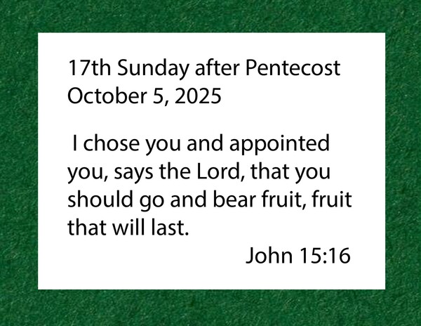 17th Sunday after Pentecost