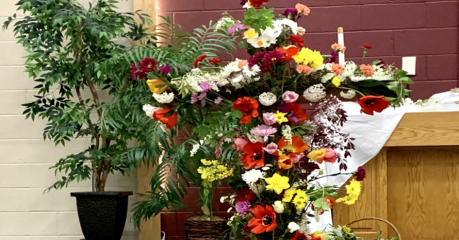 Spring 2025 Newsletter image