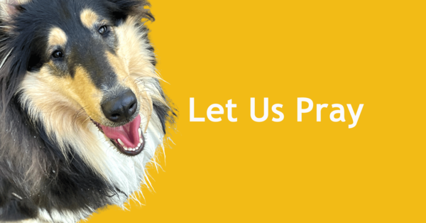 Please Remember in Your Prayers this Week