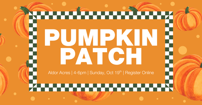 Pumpkin Patch | Aldor Acres Langley