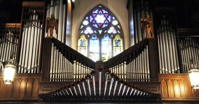 Organ Concert