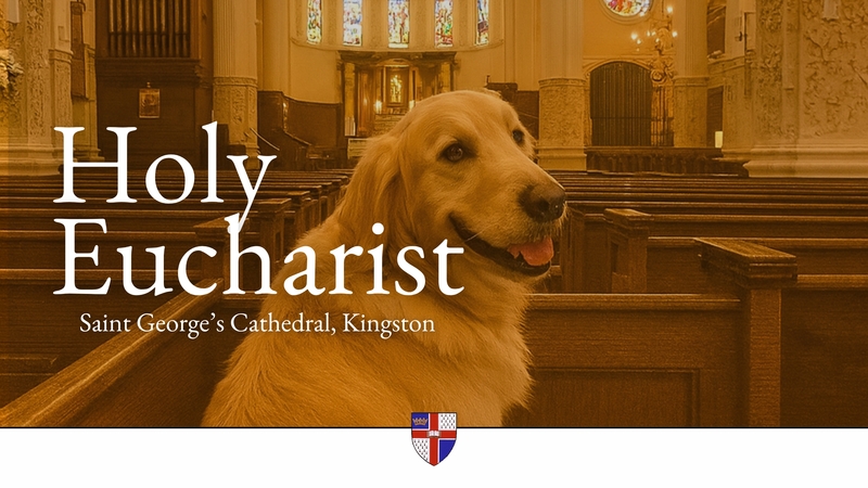 Oct. 5: Blessing of the Animals