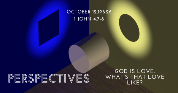 Perspectives Series