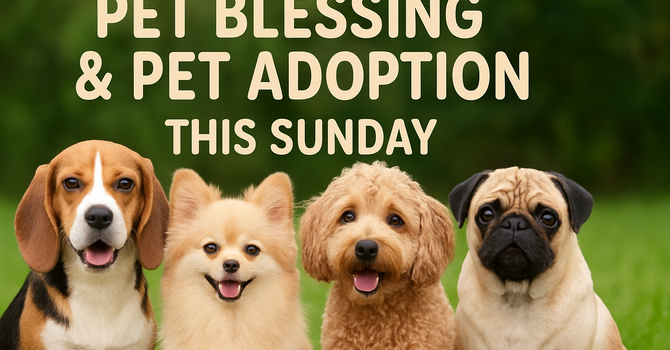 Pet Adoption & Blessing of Animals