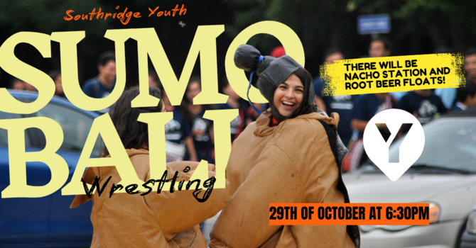 Sumo Ball Wrestling