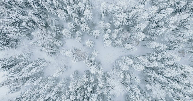 Current Events and Community Outreach