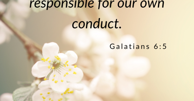 Galatians 6:5 image