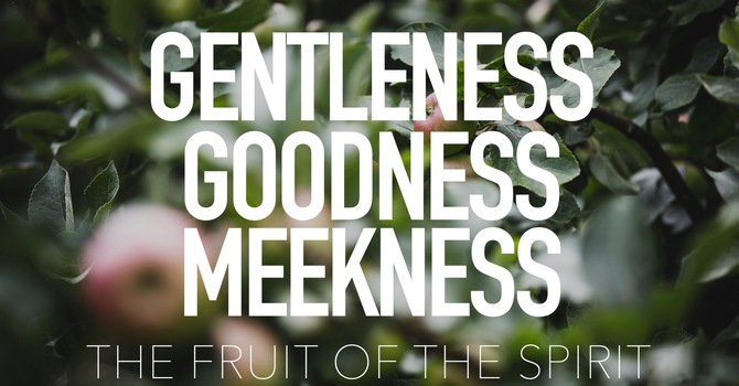 Gentleness, Goodness, Meekness