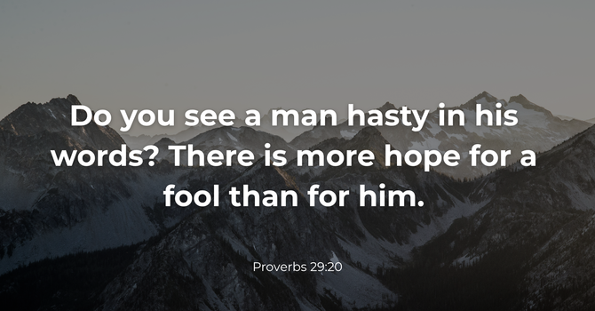 Proverbs 29:20 image