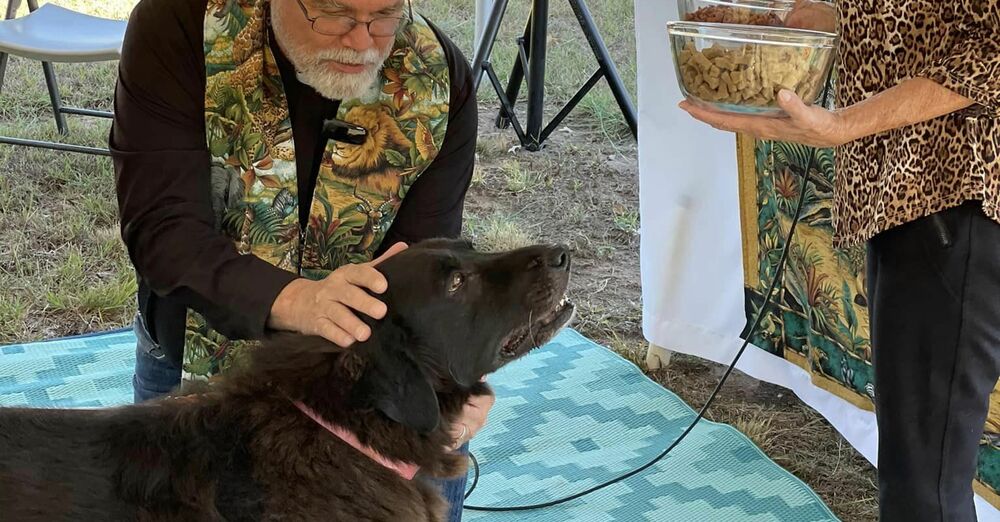 Animal Blessing Sunday