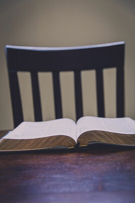A Place at the Table