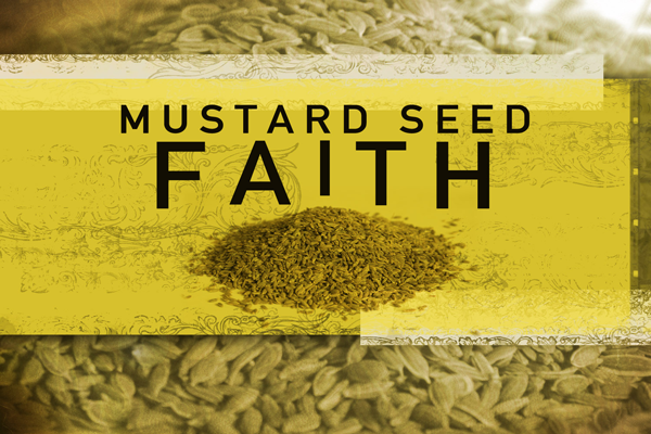 Seventeenth Sunday after Pentecost