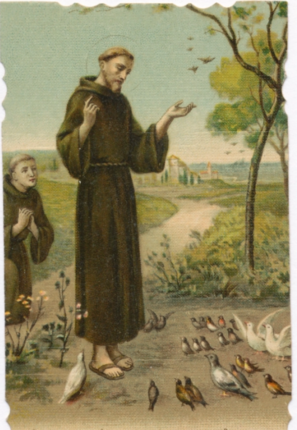 Feast of St. Francis marks end of Season of Creation