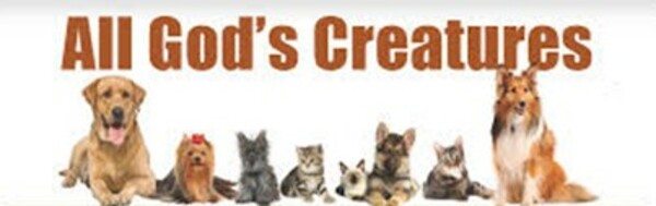 Blessing of the Animals