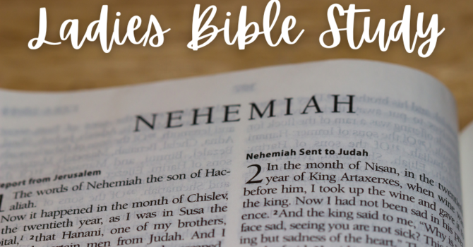 Ladies Bible Study Videos - Nehemiah