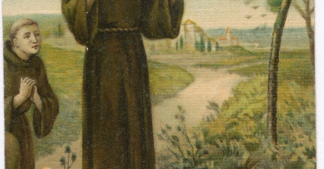 Feast of St. Francis marks end of Season of Creation image
