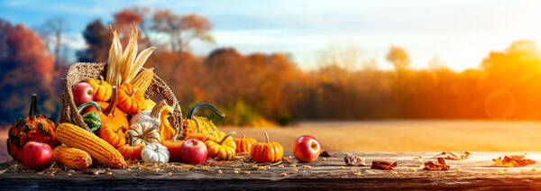 Decorating the Church for Harvest Thanksgiving