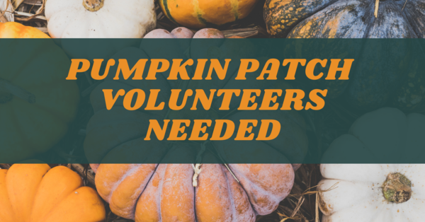 Pumpkin Patch Volunteers NEEDED