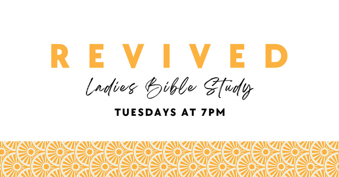 Ladies Bible Study