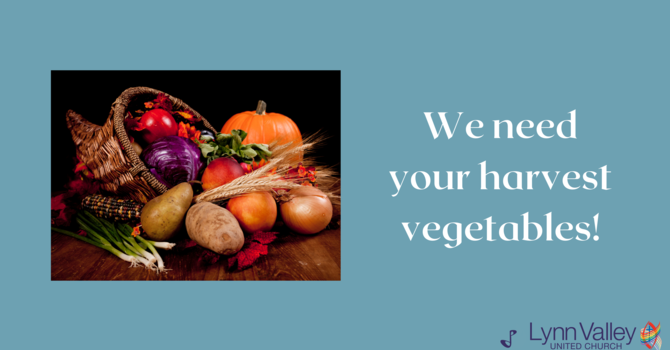 We Need Your Harvest Vegetables! image