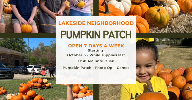 Lakeside Neighborhood Pumpkin Patch