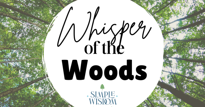 Whisper of the Woods
