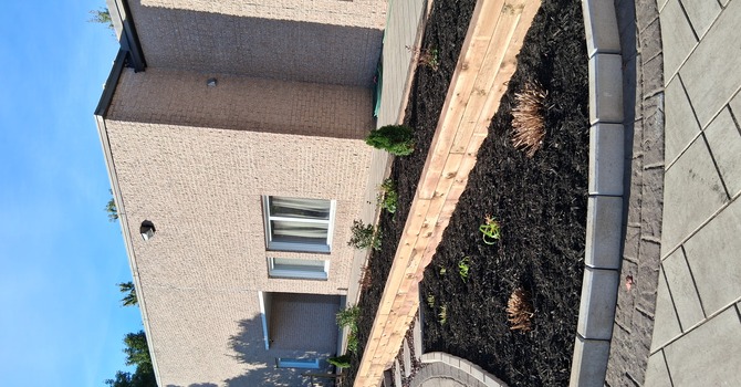 Miracle Sunday - Interlock Project Update