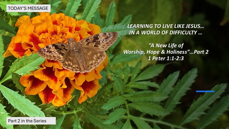 “A New Life of Worship, Hope & Holiness”…Part 2