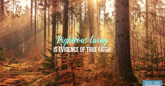 “A MERE FACADE” image