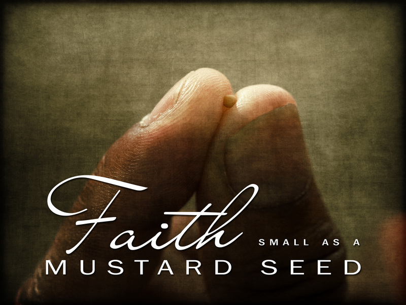 Seventeenth Sunday After Pentecost