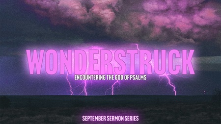 Wonderstruck