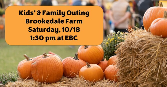 Pumpkin Patch