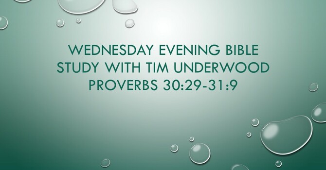 Wednesday Evening Bible Study - Proverbs 30:29-31:9