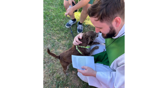 St. Luke's to Host Annual 'Blessing of the Animals' image