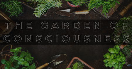 The Garden of Conciousness