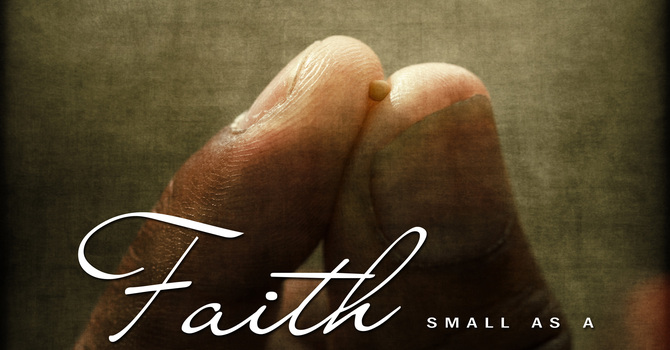 Seventeenth Sunday After Pentecost