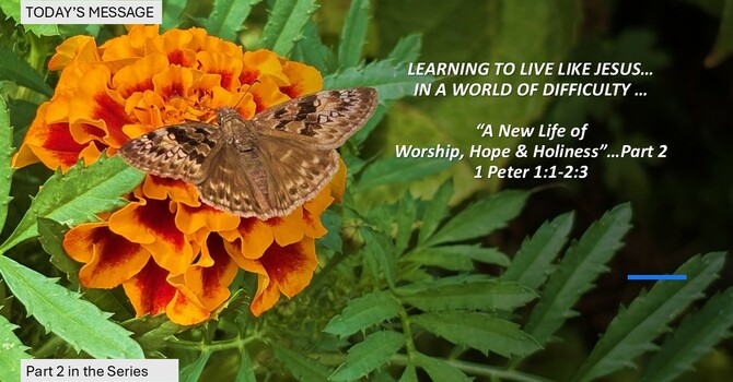 “A New Life of Worship, Hope & Holiness”…Part 2