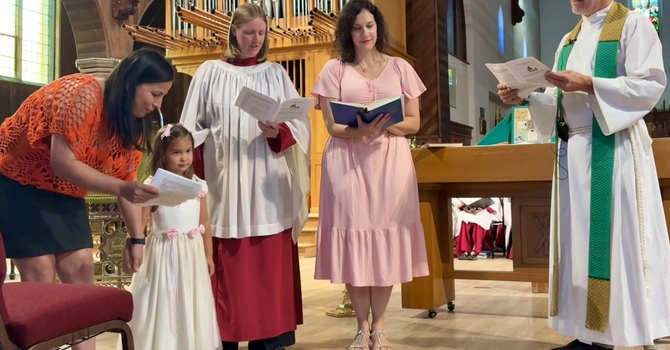 This week at St John's - Our Newsletter