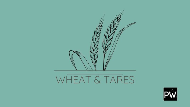 Wheat & Tares