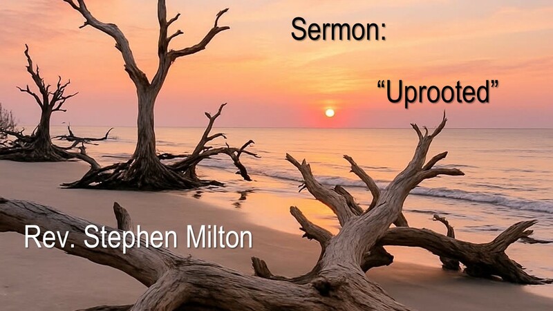Uprooted