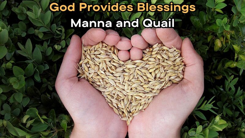 Manna & Quail